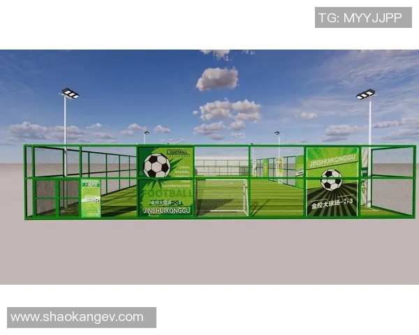 探索足球纹布的设计魅力与应用前景，打造时尚与运动的完美结合